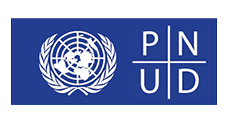 PNUD, ir a la web
