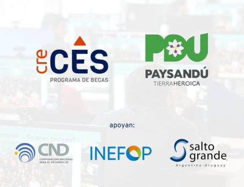 Programa creCES Paysandú: prórroga para postular a subsidios