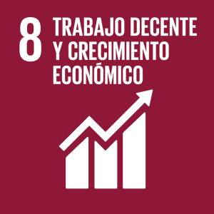 S_SDG-goals_icons-individual-rgb-08-1024×1024 8 - Trabajo Decente y Crecimiento Económico